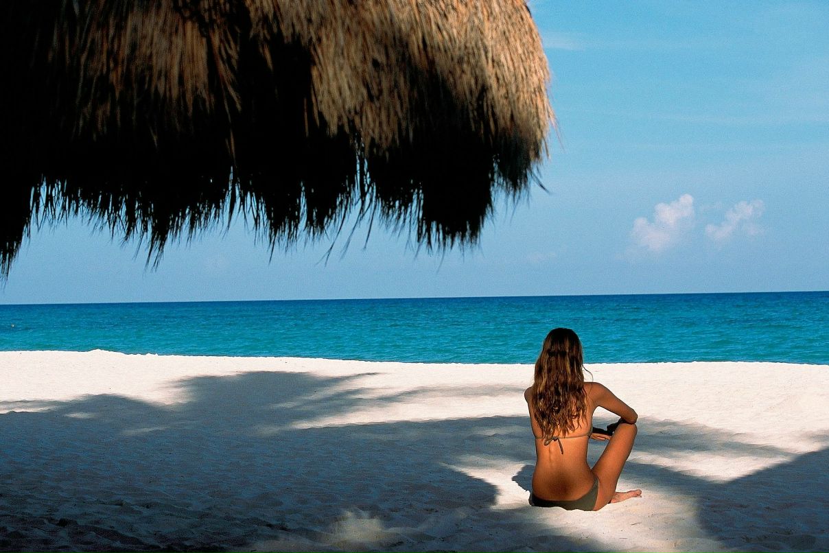 Елена Лебедева | Москва