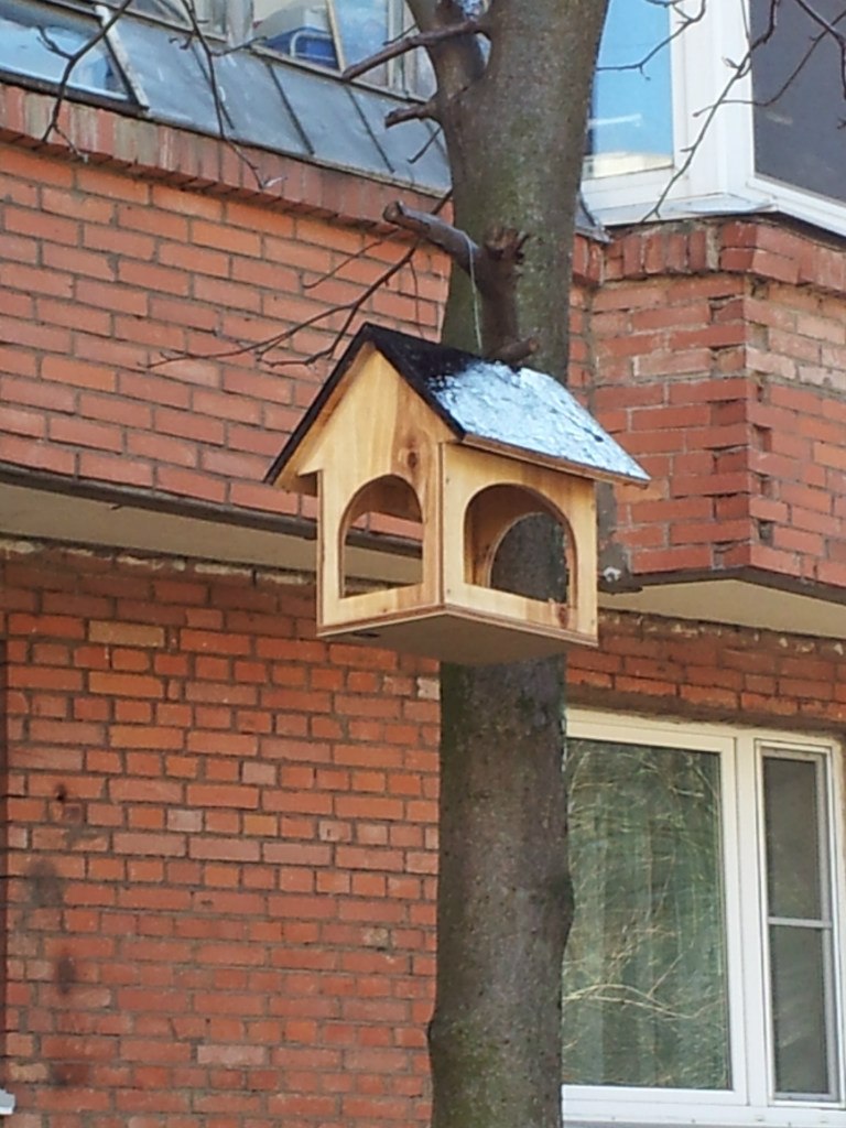 Александр Жуков | Санкт-Петербург