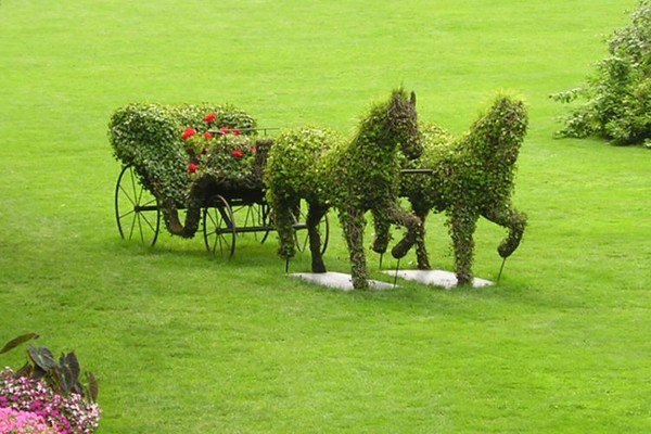 Венера Гаянова | Уфа