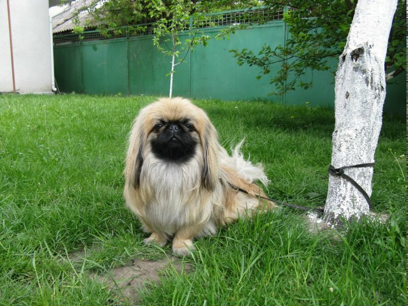 Юля Довганюк | Хмельницкий