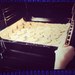 Александр Осипов фотография #17