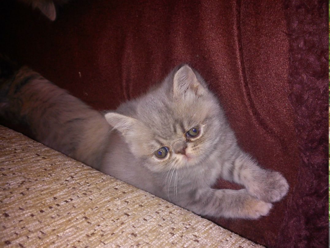 Наташа Кузнецова | 