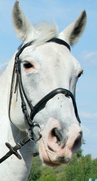 №39, Елена Иценко, Абакан №39, Елена Иценко, Абакан