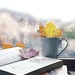 Екатерина Лавринович фотография #31