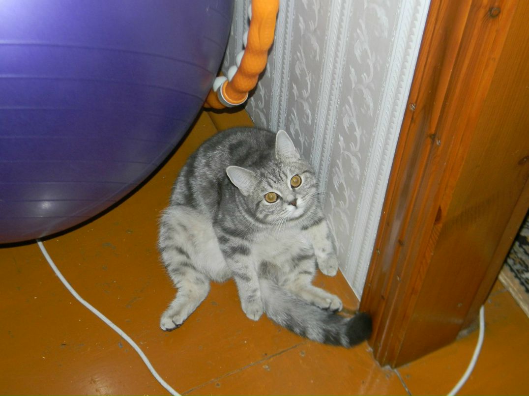 Евгений Дубина | 