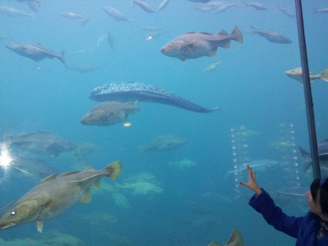 Ирина Дежан | Санкт-Петербург