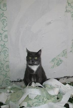 №31, Павел Насенков, Ейск, Россия №31, Павел Насенков, Ейск, Россия