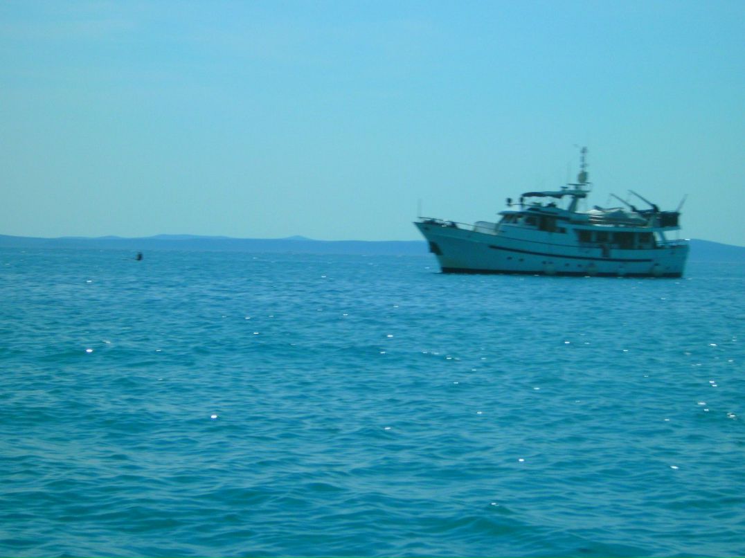 Tatjana Noak | Rastatt