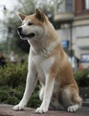 Фотография Краева Влада
