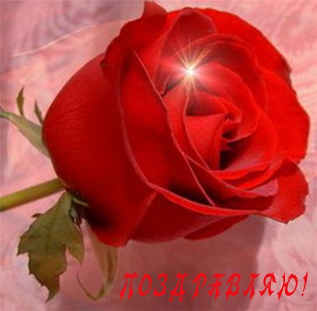 Алёна Кравченко | Бражное