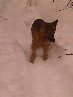 Анна Серова | Вологда