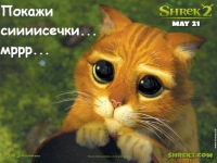 Александр Попков