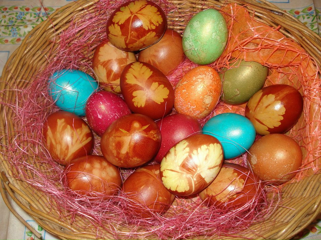 Евгения Москалёва | Калининград