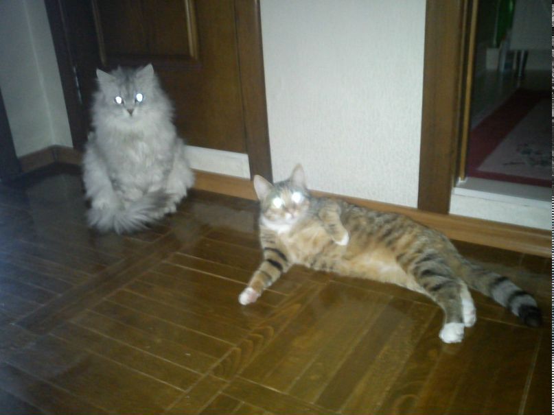 Ирина Романова | Москва