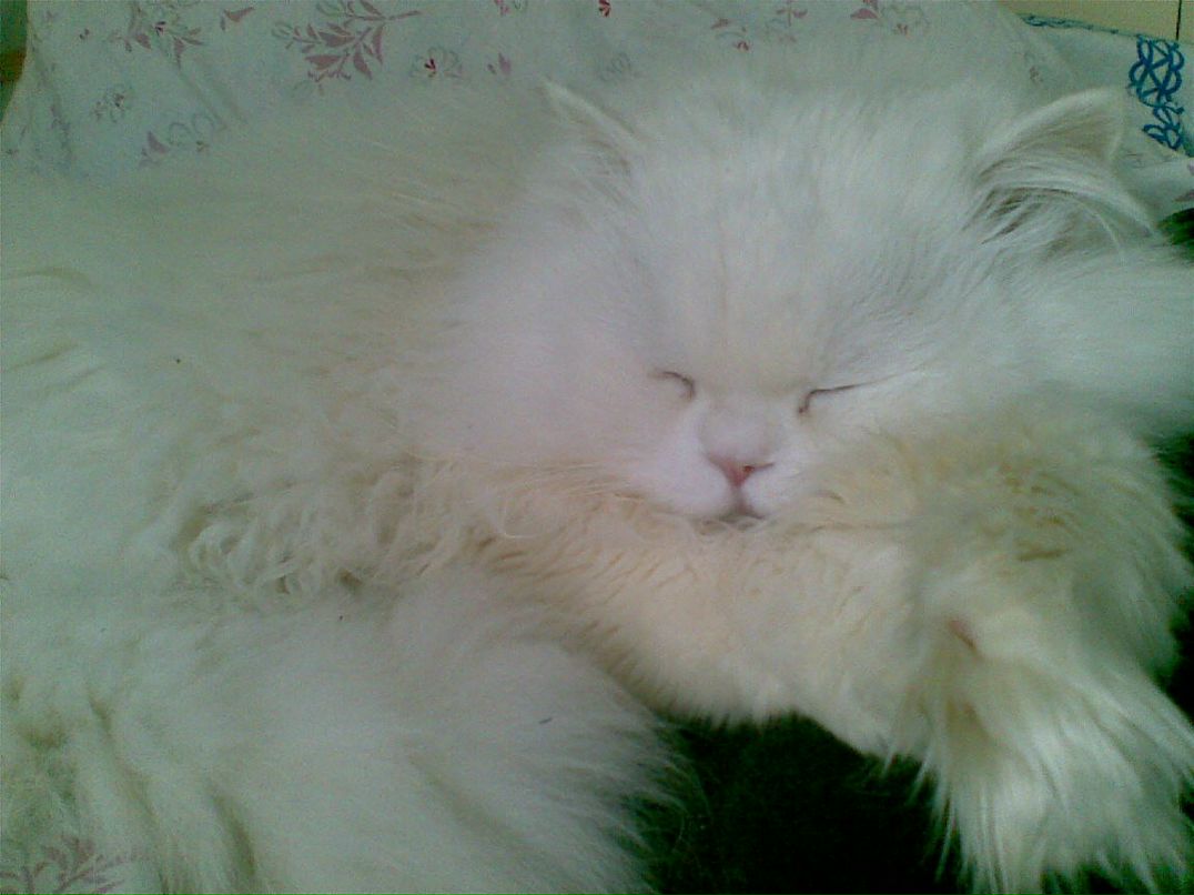 Рустам Алексеевич | Ульяновск