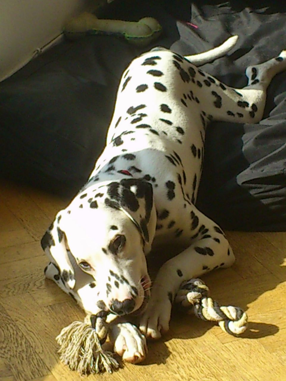 Екатерина Ле Кам (Чеснокова) | Москва