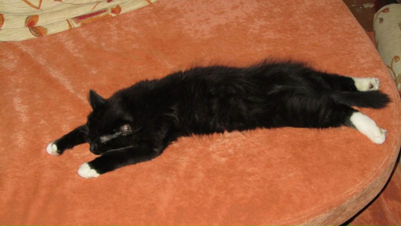 Ксения Романюк | Минск