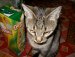 Олег Косяков фотография #50