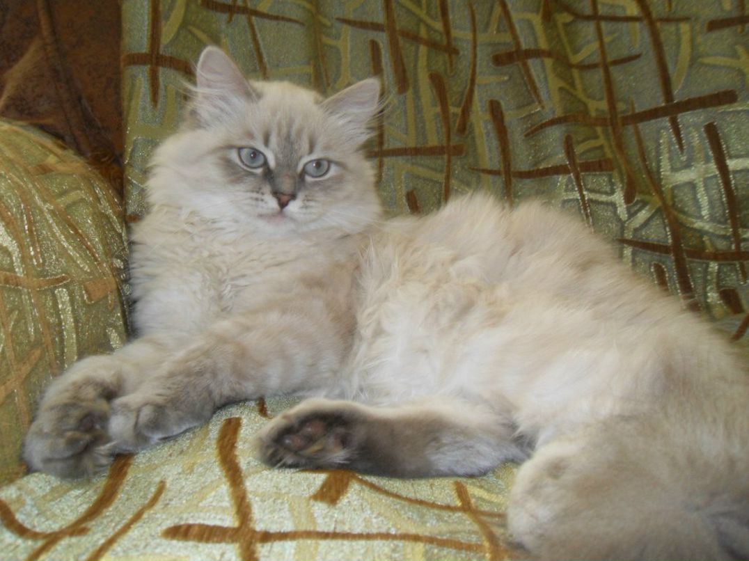 Виталий Зозуля | Мелитополь