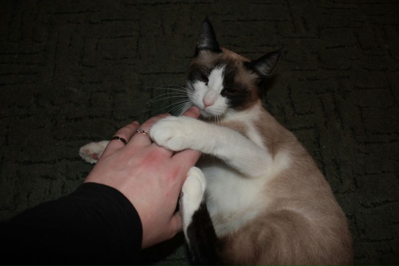 Юраш Фонар | 