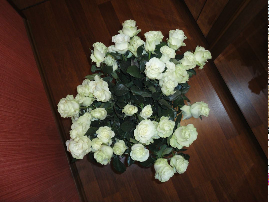 Олечка Арчакова | Тверь