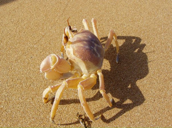 №34, Олег Бабиенко, 28 лет, Южноукраинск №34, Олег Бабиенко, 28 лет, Южноукраинск