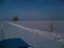 Фотография Алексей Приступов