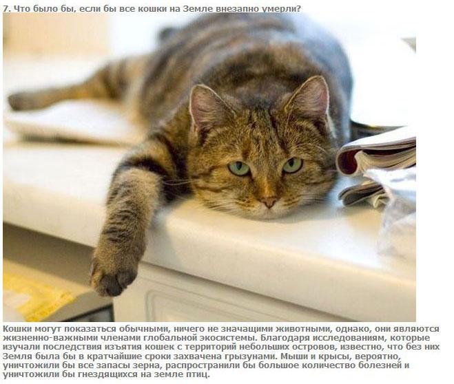 Игорь Булгаков | Орёл