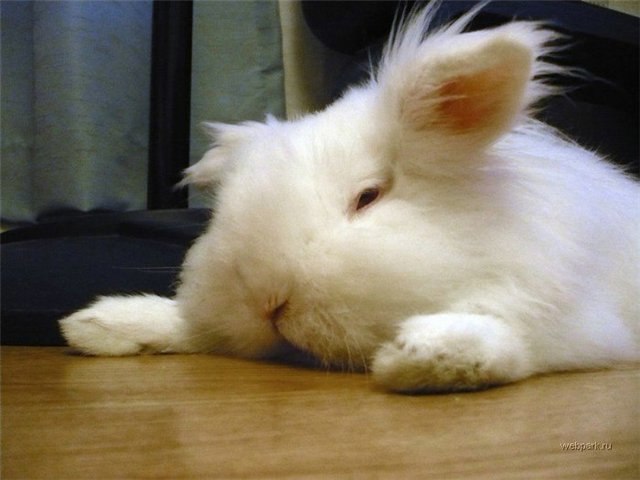 Сергей Иглин | 