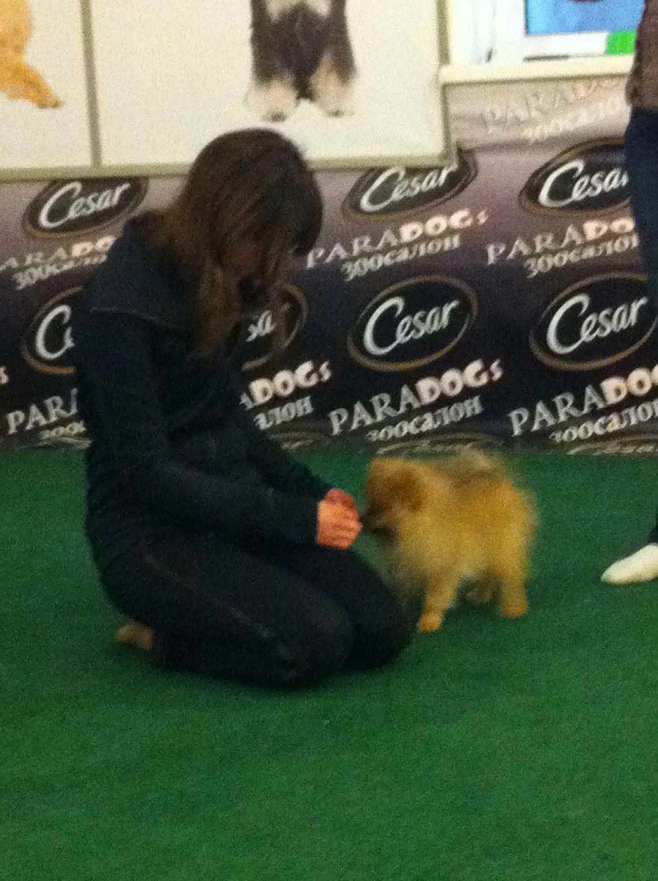 Екатерина Ледер | Екатеринбург