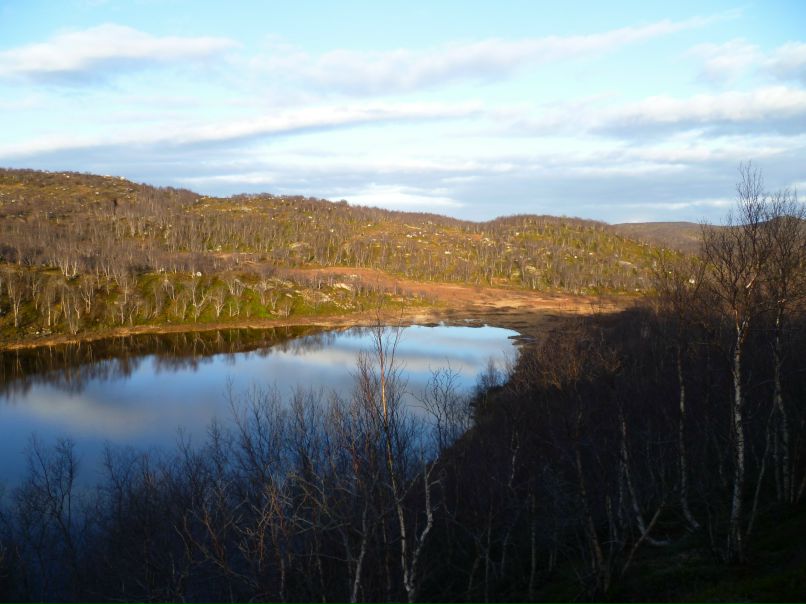 Алексей Эдуардович 