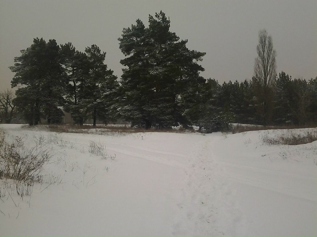 Дима Помалюк | Днепр (Днепропетровск)