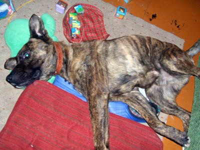 Инна Шплатова | Ростов-на-Дону