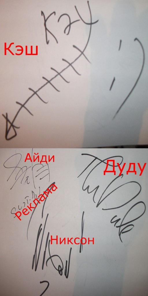 Ксения Попова | Калининград