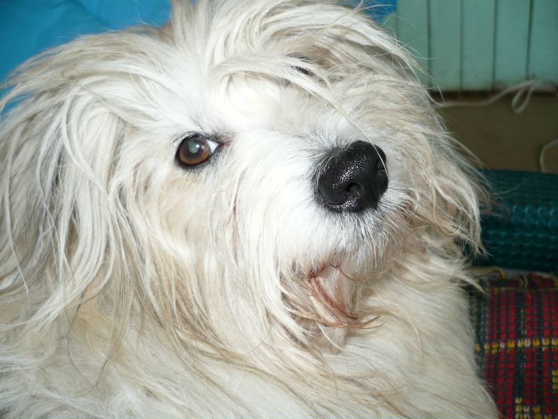 №69, Марина Бикмансурова, Пермь №69, Марина Бикмансурова, Пермь