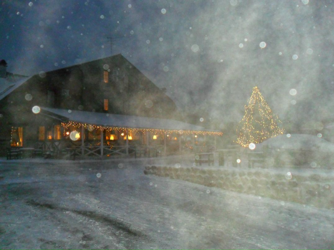 Андрей Миропольский | Санкт-Петербург
