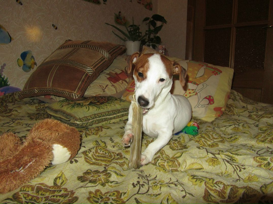 Ирина Зайцева | Москва