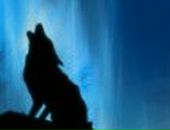 Іван Трейтяк | Куликовка