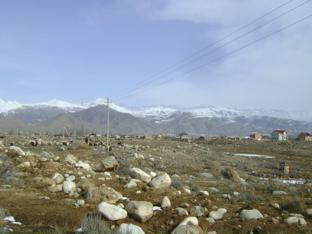 Діма Гедзюк | Житомир