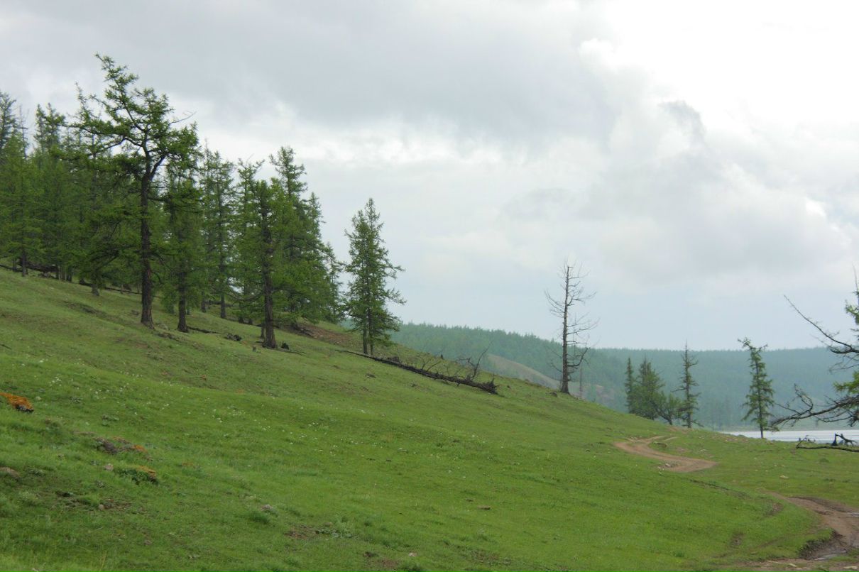 Андрей Шандрук | Иркутск