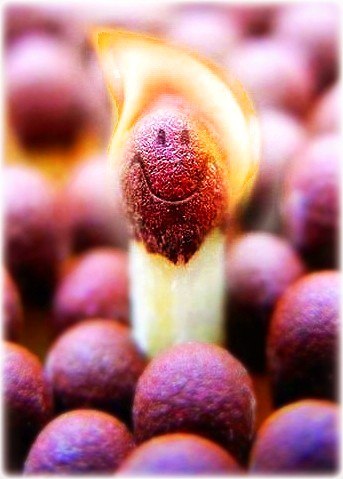 Максим Дудис | Львов