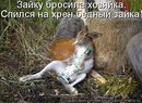 Фотография Данил Горин