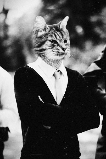 Дмитрий Дубровский | Воронеж