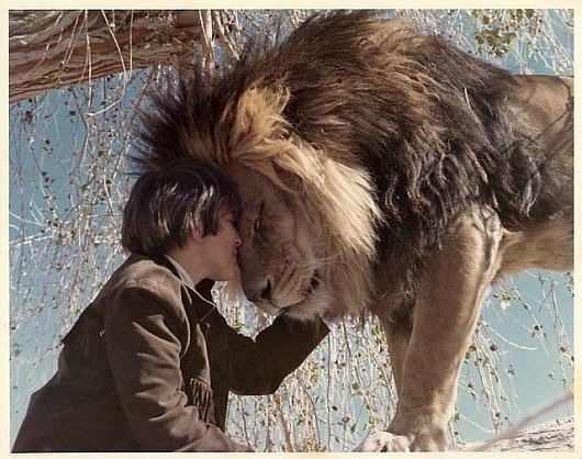 Zolotoi Zolotoi | Москва