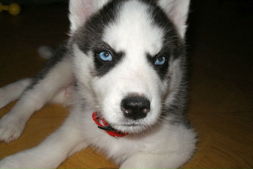 Анастасия Графкина | Одесса