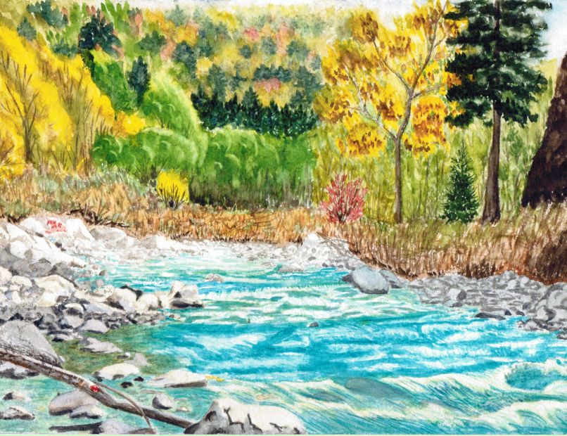 Светлана Миронова | Санкт-Петербург