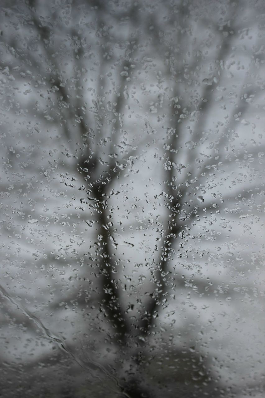 Алексей Тимофеев | Казань