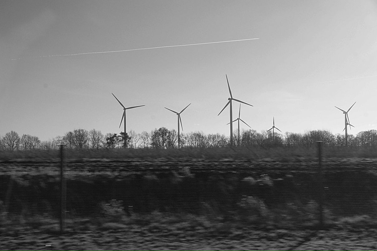 Regina Nedonnke | Köln