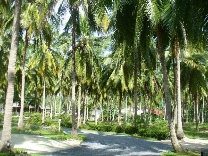 Павел Кокс | New Delhi