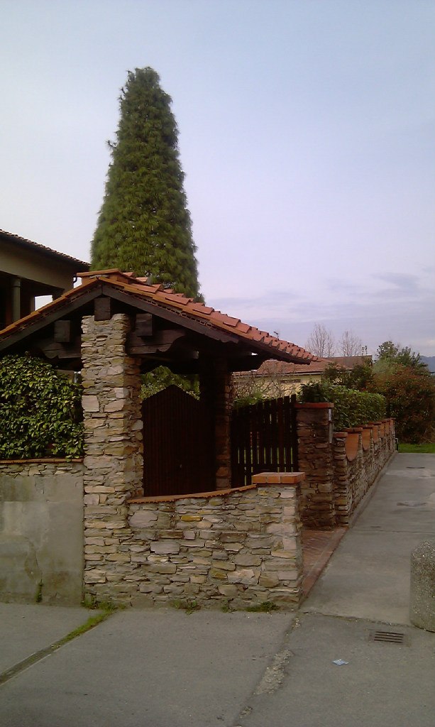 Вадим Конев | Ростов-на-Дону